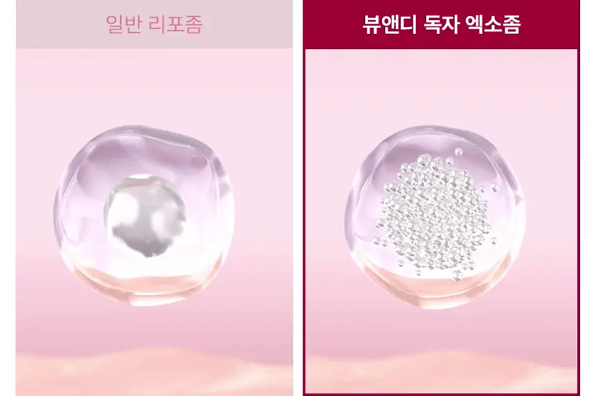 [줄기세포 넥패치/목주름] 뷰앤디 넥실키 마스크 (1매입/5매입) 상세페이지 47
